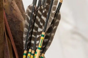 Best Hunting Arrows 2025: Top Picks for Every Bowhunter