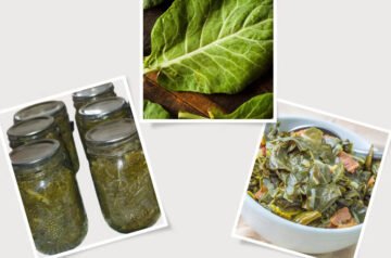 Canning Collard Greens Recipe: A Step-by-Step Guide for Year-Round Flavor