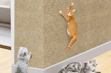 A Cat Scratcher Is the Key to a Happy Cat and a Peaceful U.S. Home