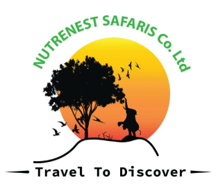 Nature Nest Safaris