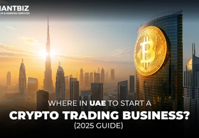 Business Setup Consu...