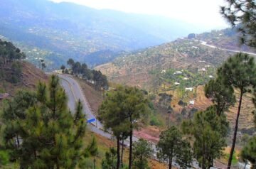 How Escorts in Murree Are Changing the Dating Game in 2025 Before It’s Too Late
