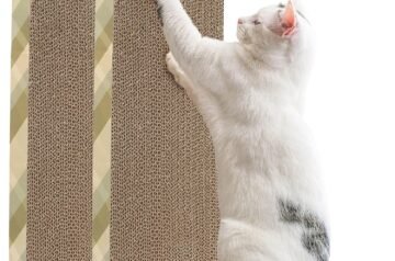 The Perfect Comfort and Play Solution for Your Feline Friend