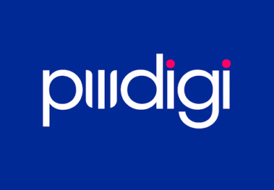 Pw digi