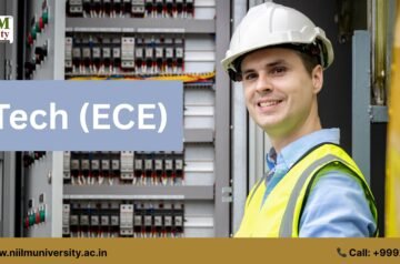 ECE Engineering Colleges in Haryana: Why NIILM University is the Top Choice for Future Innovators