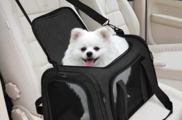 Stylish Travel Made Easy: Why Every Pet Lover Needs a Chic Dog Carrying Purse