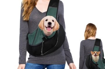 Exploring the Outdoors with Your Loyal Companion: The Ultimate Guide to a Dog with a Backpack