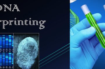 DNA Fingerprinting in India: Unveiling Identity Through Science – A Fondelco Insight