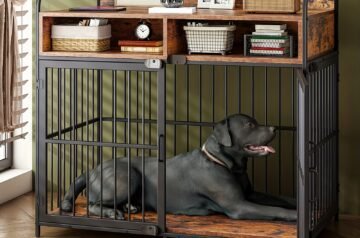 The Perfect Solution for Your Pet’s Comfort and Safety