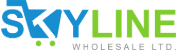 Elevate Your Retail Business With Skyline Wholesale Ltd.’s Beauty, Electronics & Wholesale Dental Supplies