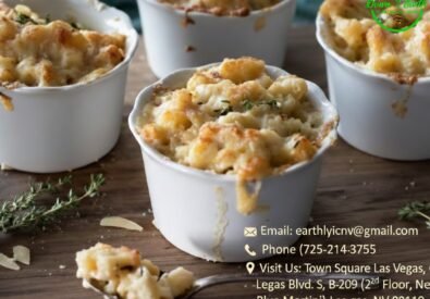 Best Vegan food arou...