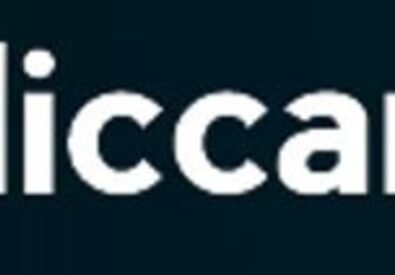 Peliccan Cars   Lond...