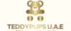 Teddy Pupss