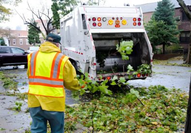 Quality Tree Service...