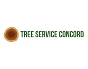 Quality Tree Service Concord
