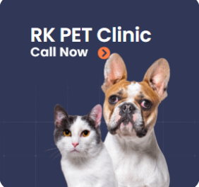 Rk Pet Clinic
