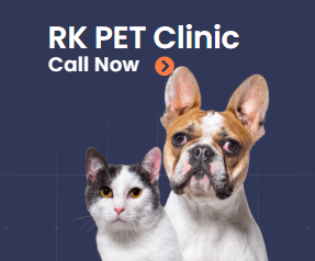 Rk Pet Clinic