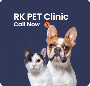 Rk Pet Clinic