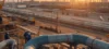 Pipeline Contractor ...
