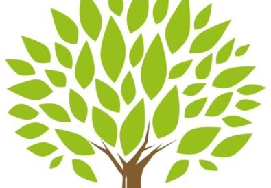 Ironwood Financial LLC