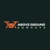 Above Ground Surveys
