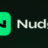 Nudge