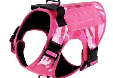 Premium Pet Accessor...