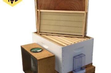 Beekeeping Starter Kit Australia – Complete Bee Hive Kit