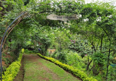 Best Hotels in Kodai...