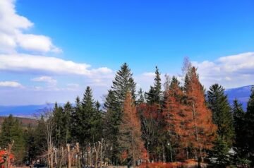 Kernville Lodge Sequoia: A Peaceful Getaway for Relaxation, Nature, and Personal Renewal