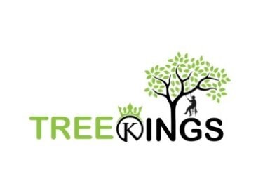 Tree Kings