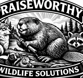 Praiseworthy Wildlif...