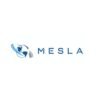 MESLALIGHTING