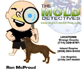 Mold Detective