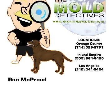 Mold Detective
