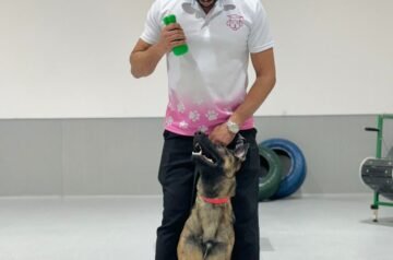 Dog Behavior Training Dubai: The Key to Raising a Happy, Well-Behaved Dog