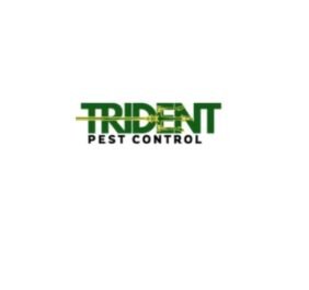 ant control Tarneit
