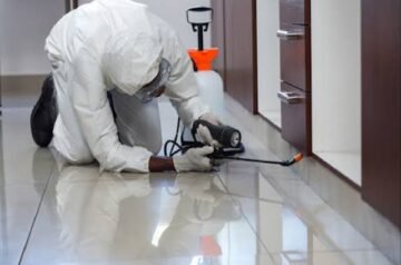 خطوات اختيار خدمة مكافحة حشرات تناسب احتياجاتك