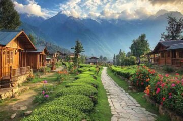 Delhi to Palampur Taxi | Delhi to Palampur Cab