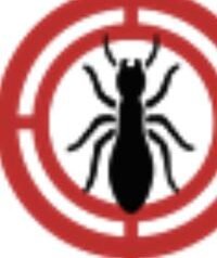 Pest Control Edinburg TX: Keep Your Property Safe from Unwanted Pests