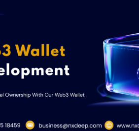 Web 3 Wallet Develop...