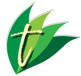 Tea Leaves