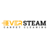Ever Steam Carpet Cl...