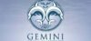Gemini Pool Services