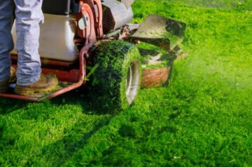 Professional Lawn Care Service Experts