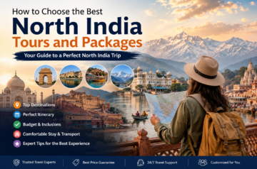 How to Choose the Best North India Tours and Packages