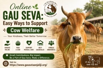 Online Gau Seva: Easy Ways to Support Cow Welfare