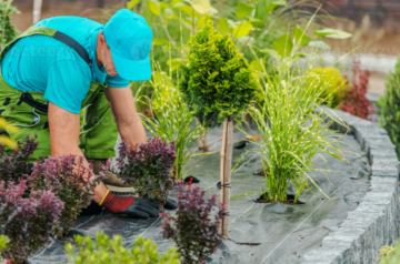 Commercial Landscaping Company Southlake TX | Professional Property Landscape Solutions