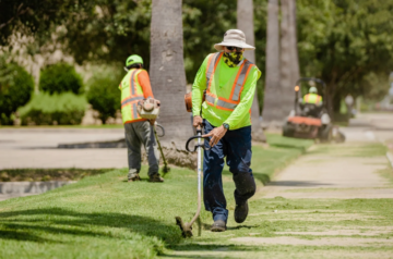 Commercial Landscaping Services for Business Growth and Lasting Curb Appeal